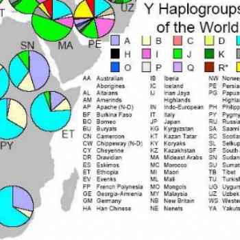 Mapa mundial de Haplogrupos Ya